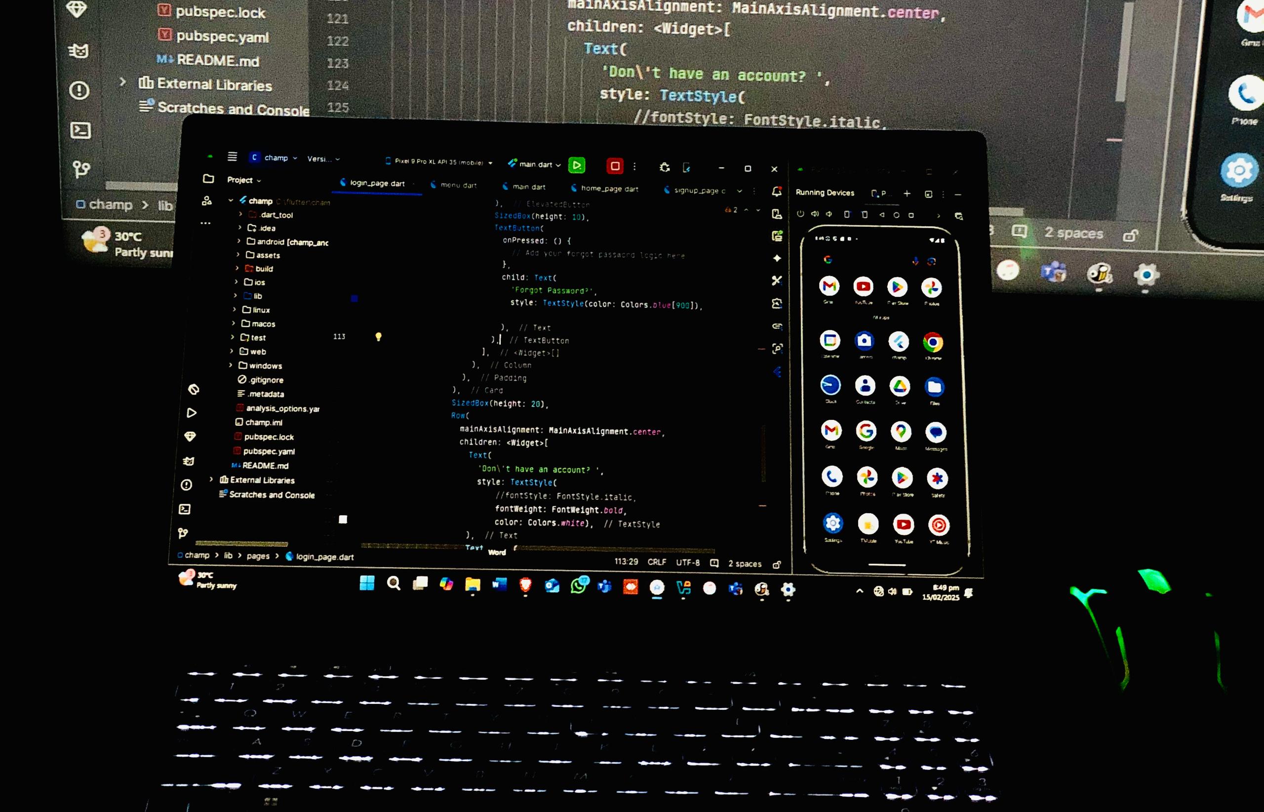 Software Development